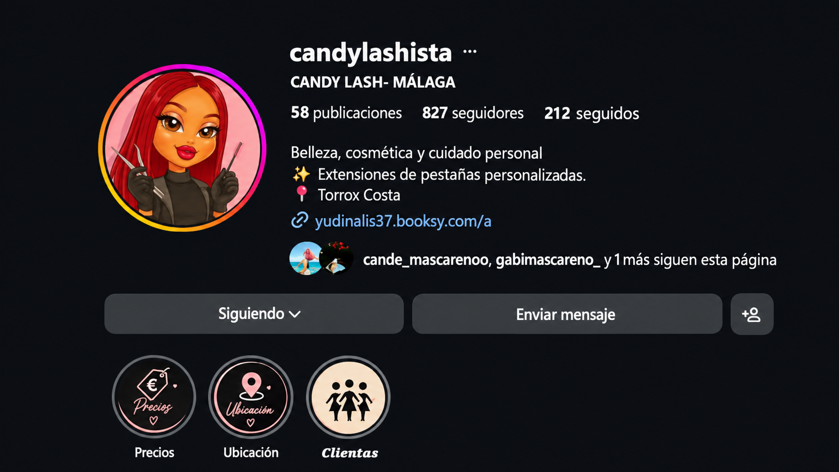 Reconstrucción visual del perfil anterior para mejorar legibilidad; la captura original está disponible en Ampliar antes